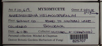 Image Associated With the Occurence